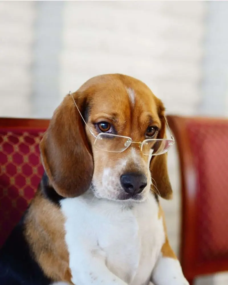 Kathy Jo, Office Administrator / Human Resource Manager at Idaho Law Group